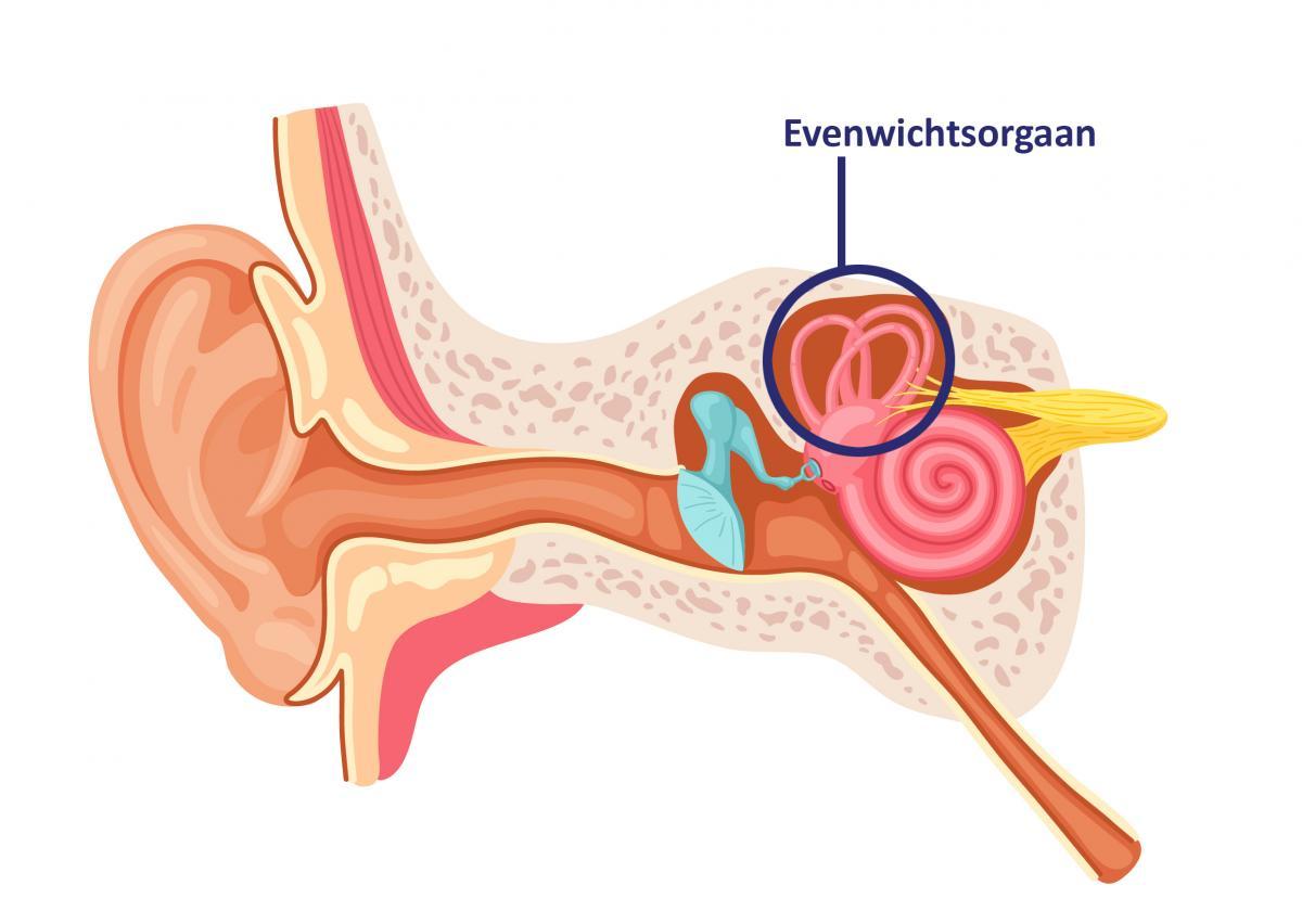 Evenwichtsproblemen | AZ Klina